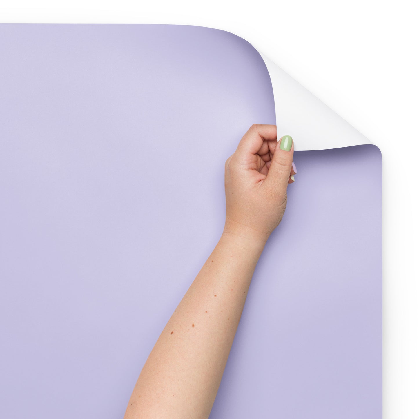 Elegant Lavender Purple Matte Gift Wrap | Birthdays, Weddings & Special Occasions | Set of 3